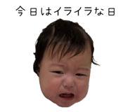 831427503
