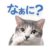 831428962
