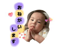 831434333