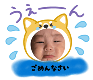 831434337