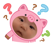 831437241