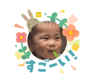 831443346
