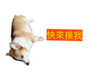 831445230