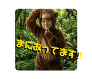831445663