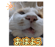 831451209