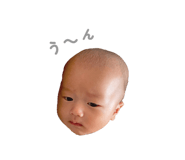 831453194