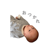 831453196