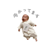 831453197