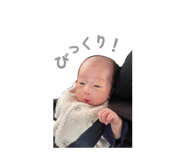 831453203