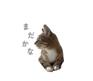 831453206