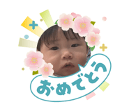 831455904