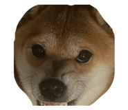 831457748