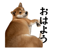 831457752