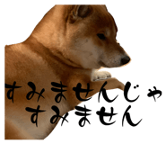831457754