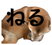 831457756