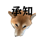 831457758