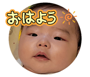 831460593