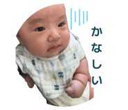 831496236