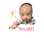 831496241