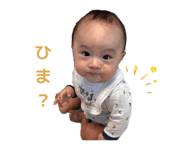 831496253