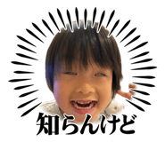 831500293
