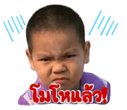 831503481