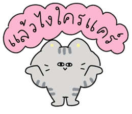 ลายที่ 23