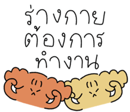 ลายที่ 25