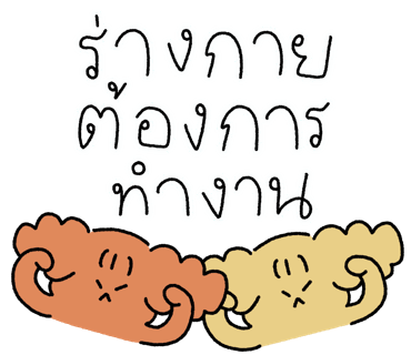 ลายที่ 13