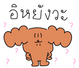 ลายที่ 27