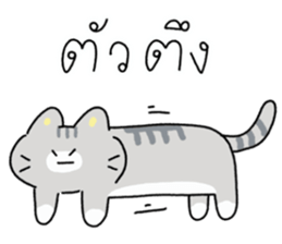 ลายที่ 45