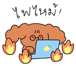 ลายที่ 67