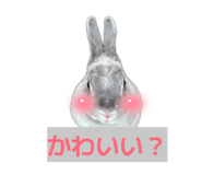 831518787