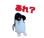 831520579