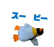 831520582