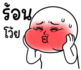 ลายที่ 13