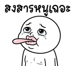 ลายที่ 41