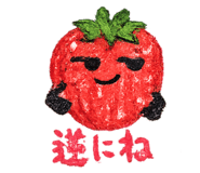 831523980