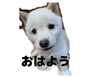 831527009