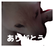831527013