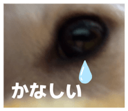 831527015