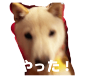 831527016