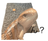 831549426