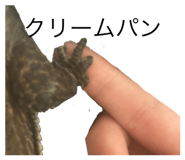 831549427