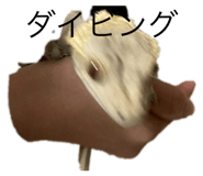 831549429
