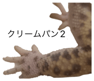 831549431