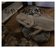 831549432