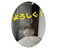 831549689