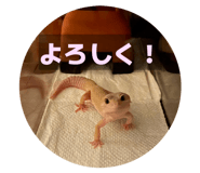831549690