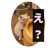 831549699